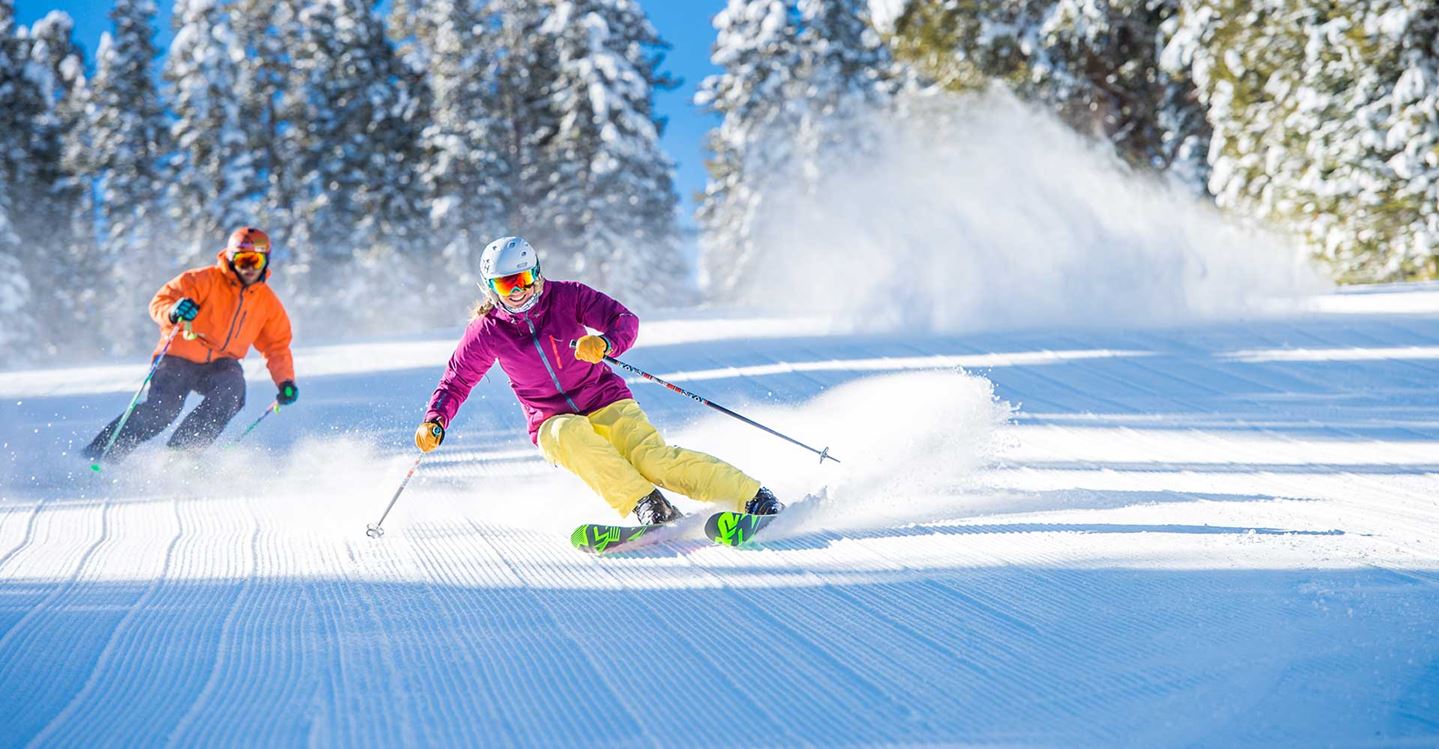 Devant 10 Devant -Rossignol Vente 210151752